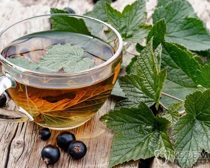 Чай из листьев смородины