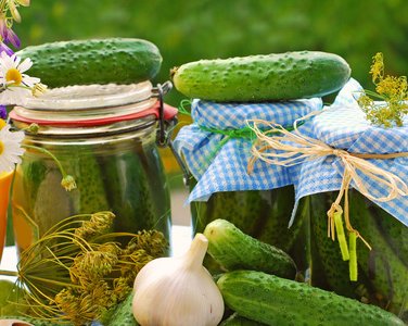 Маринованные огурцы: заготовки на зиму